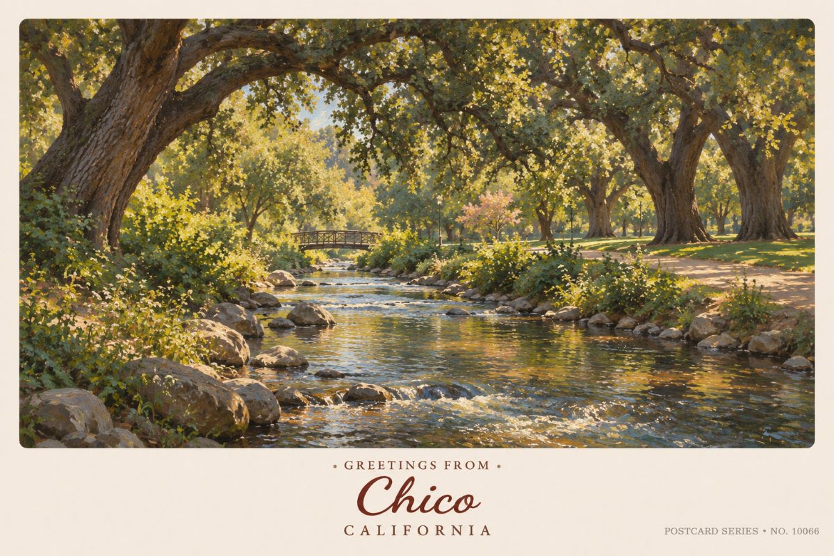 Chico