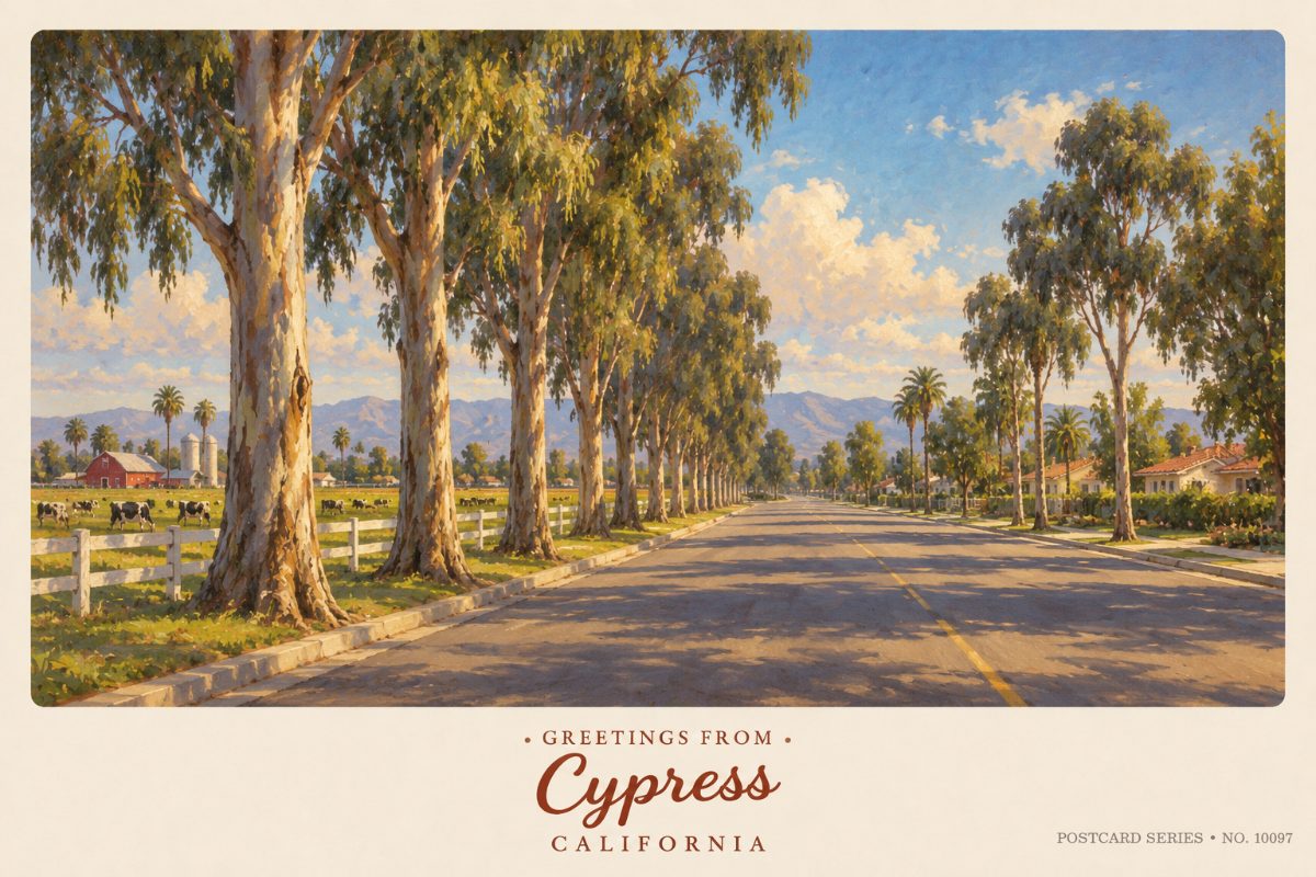 Cypress