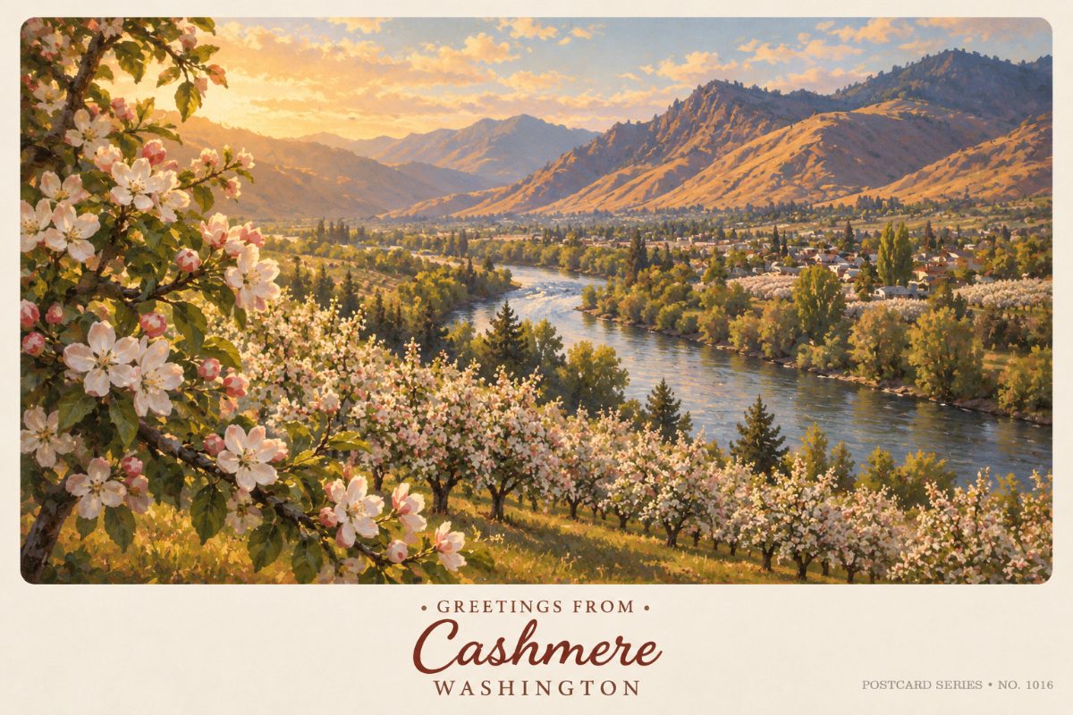 Cashmere