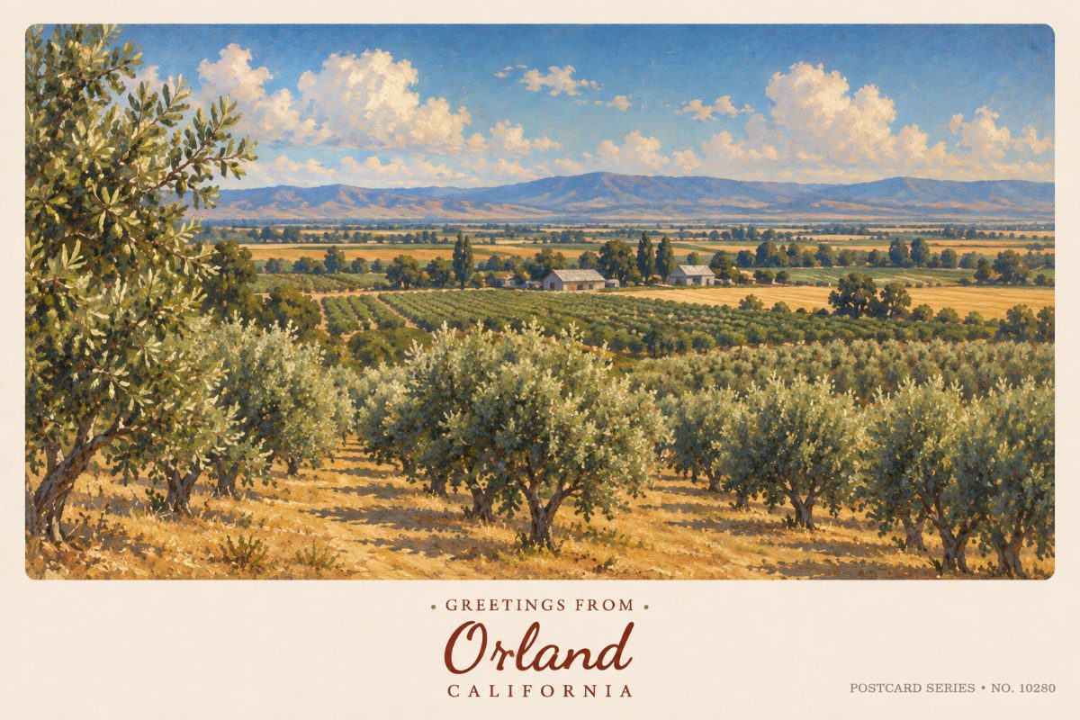 Orland