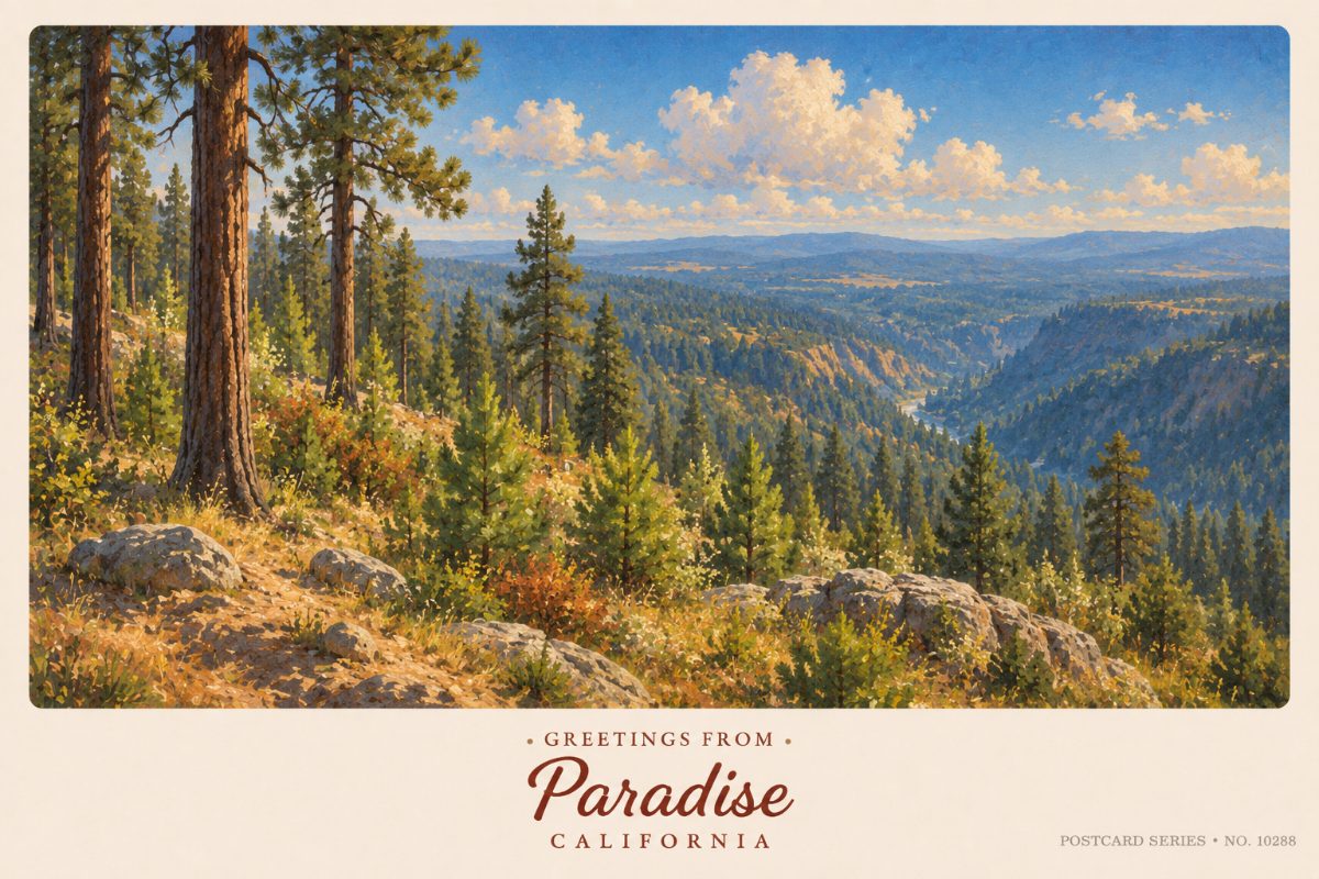 Paradise