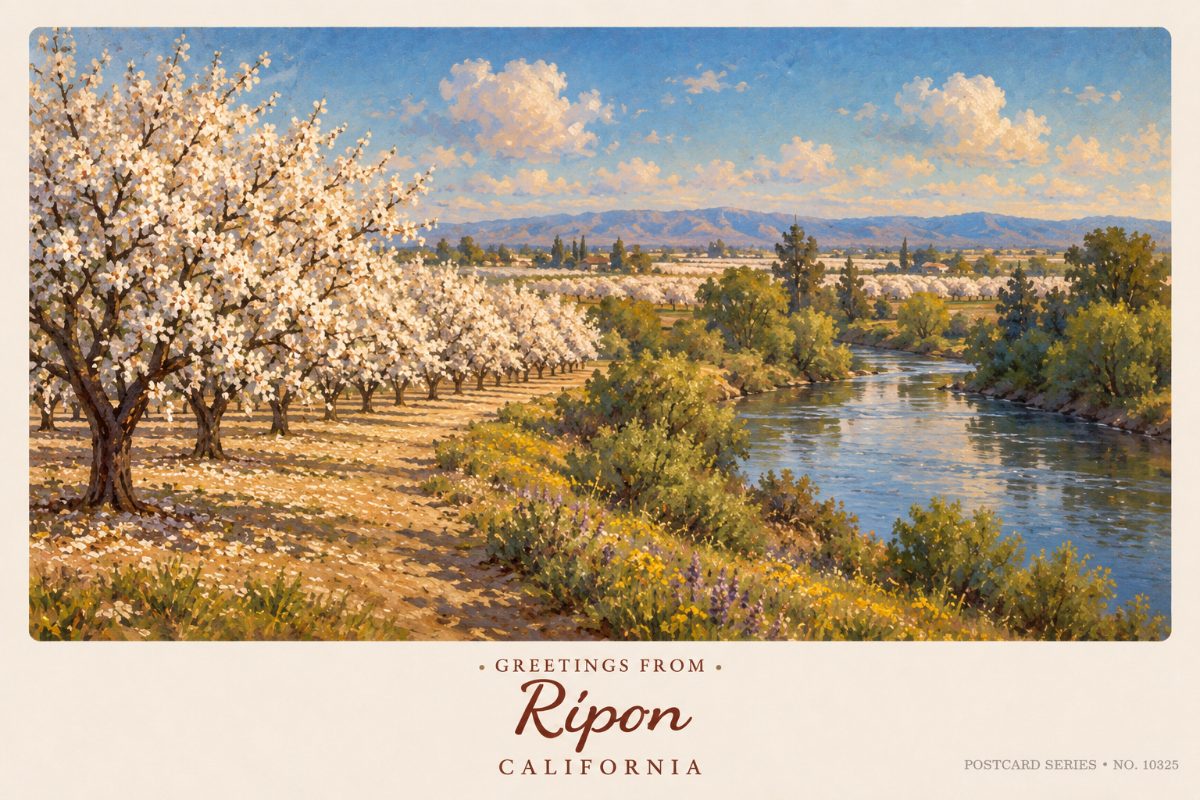 Ripon