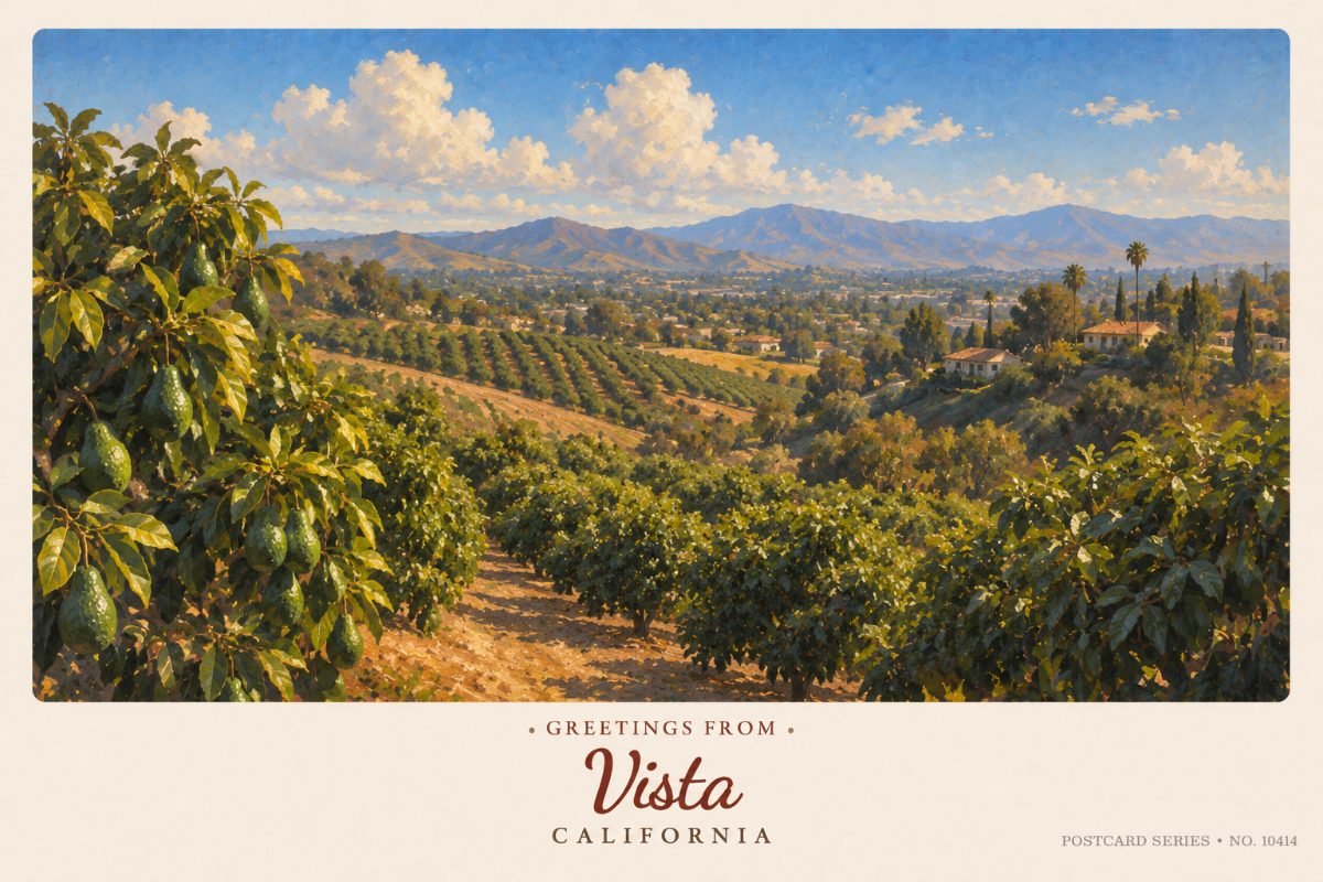 Vista