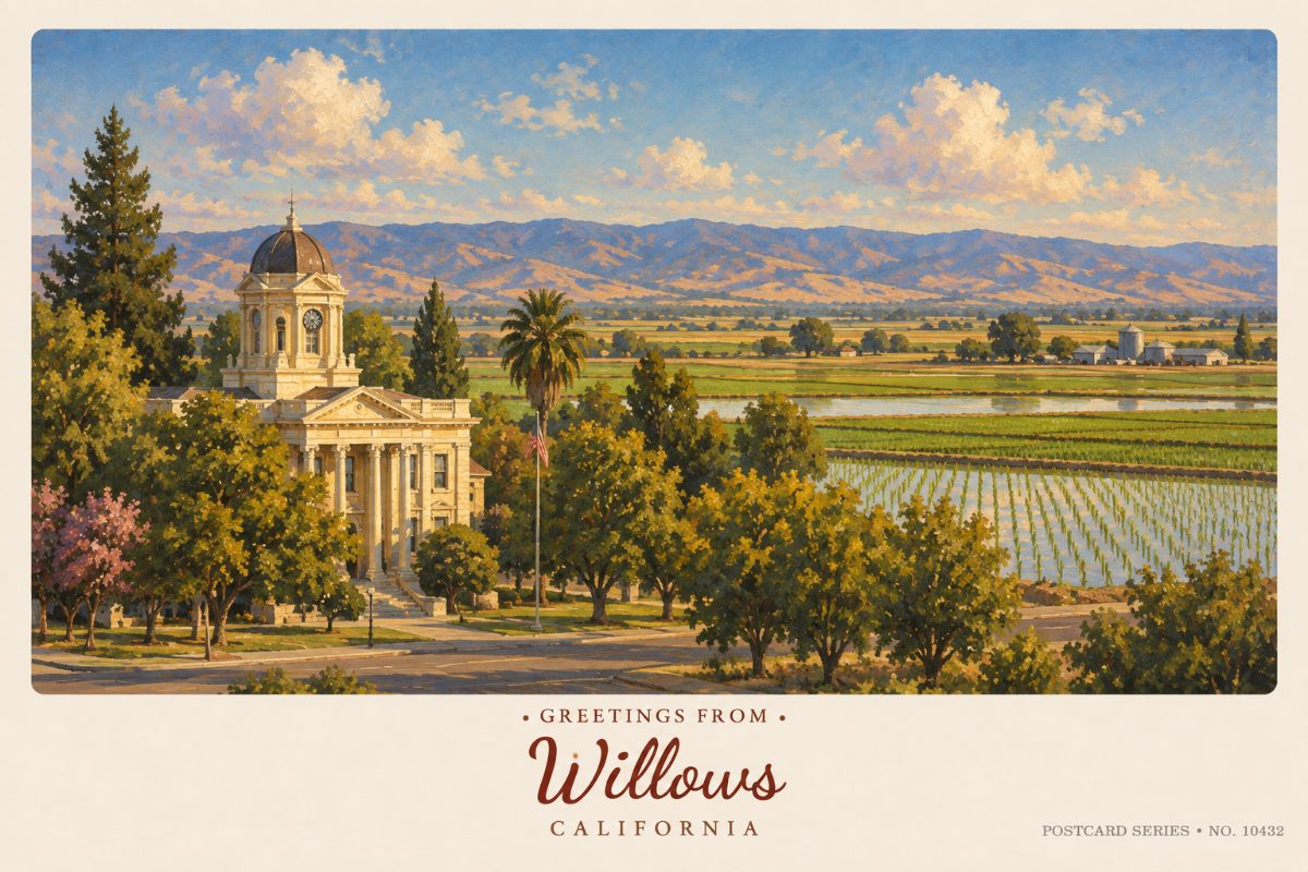 Willows