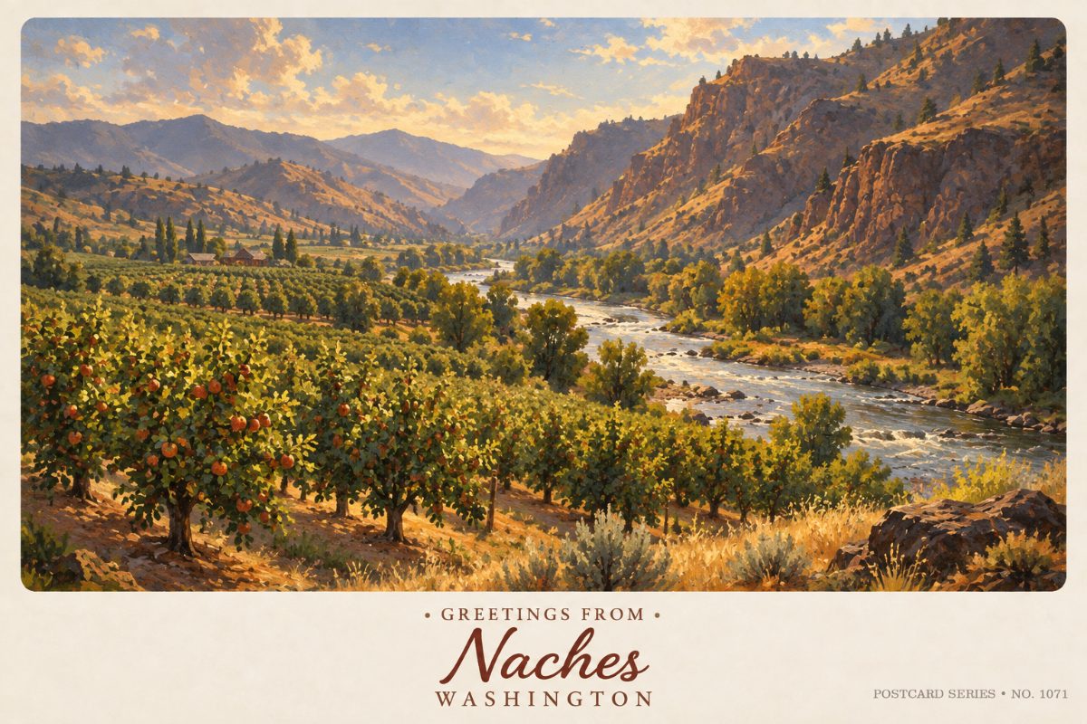 Naches
