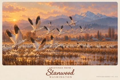 Stanwood