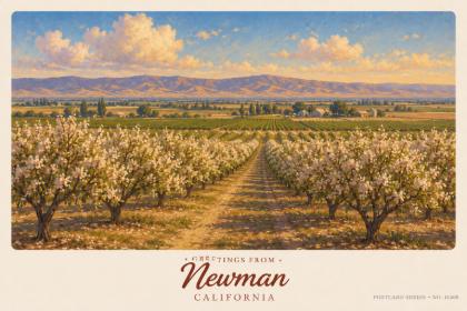 Newman