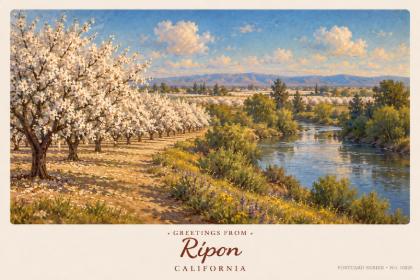 Ripon
