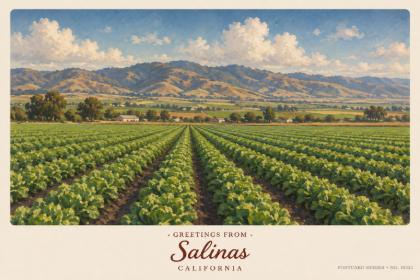 Salinas
