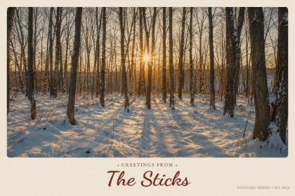 The Sticks